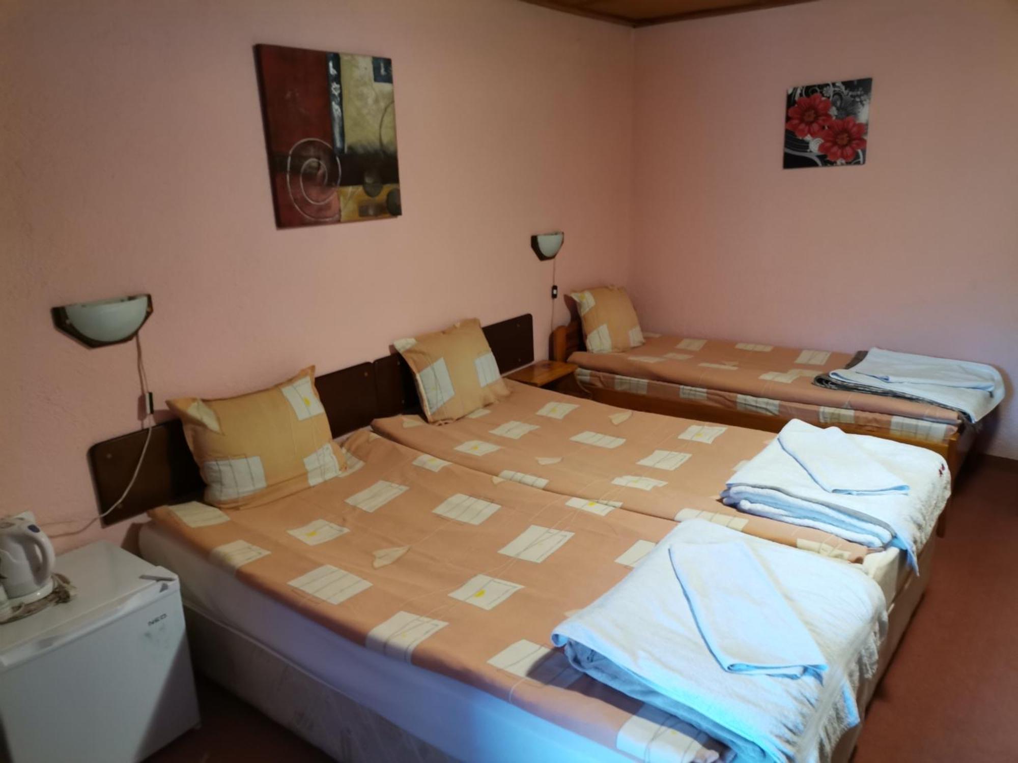 Family Hotel Santo Bansko Zewnętrze zdjęcie