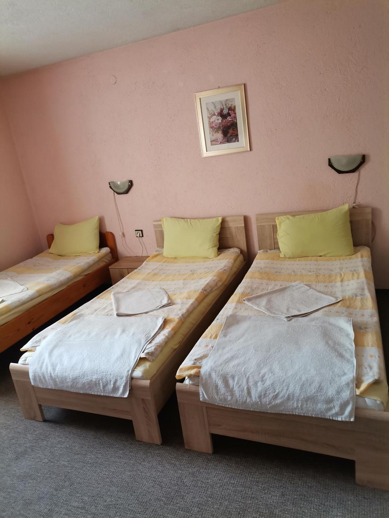 Family Hotel Santo Bansko Zewnętrze zdjęcie