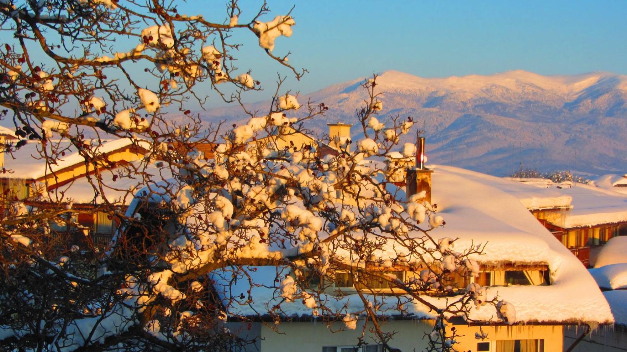 Family Hotel Santo Bansko Zewnętrze zdjęcie
